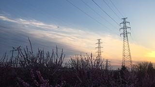 智能疏散系统应用有哪些？