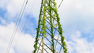 哪些地方需要装置智能疏散指示系统呢？